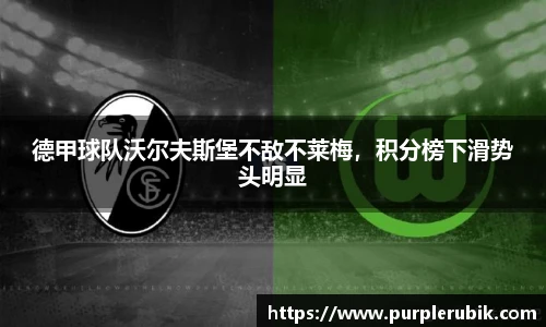 zoty中欧官网