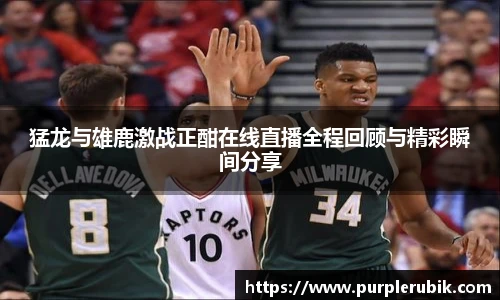 zoty中欧官方app下载