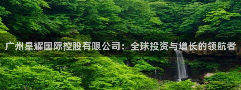 500彩票网平台开户：广州星耀国际控股有限公司：全球投资与增长的领航者