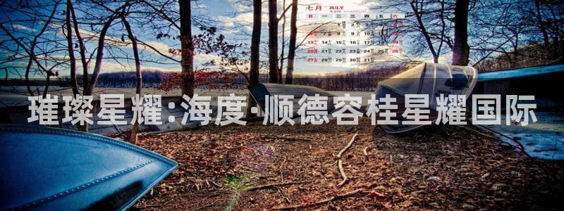 500彩票网体育官网注册：璀璨星耀:海度·顺德容桂星耀国际