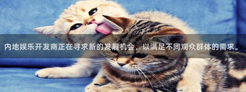 500彩票网体育用品：内地娱乐开发商正在寻求新的发展机会，以满足不同观众群体的需求。
