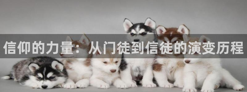 500彩票网2体育：信仰的力量：从门徒到信徒的演变历程
