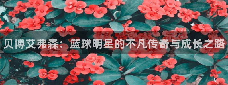 500彩票网体育eon：贝博艾弗森：篮球明星的不凡传奇与成长之路