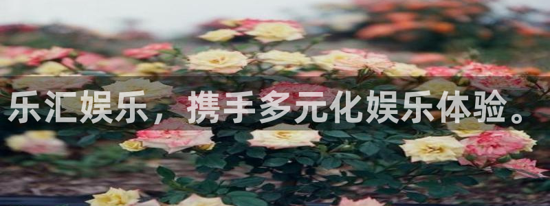 www.500彩票网体育.com：乐汇娱乐，携手多元化娱乐体验。