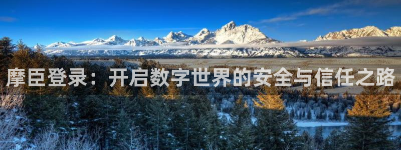 500彩票网登陆：摩臣登录：开启数字世界的安全与信任之路