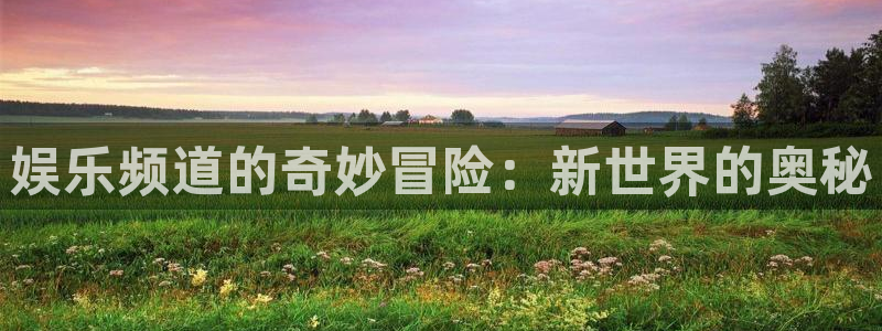 500彩票网体育凯捷代理注册：娱乐频道的奇妙冒险：新世界的奥秘