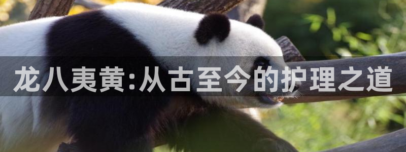 500彩票网体育代理：龙八夷黄:从古至今的护理之道