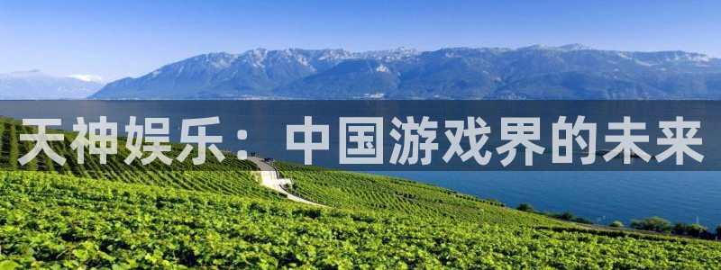 500彩票网3登陆：天神娱乐：中国游戏界的未来