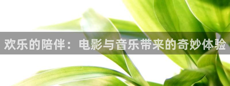 500彩票网平台招商：欢乐的陪伴：电影与音乐带来的奇妙体验