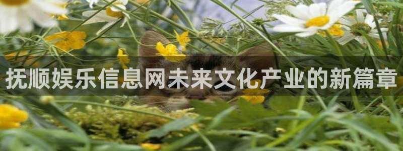 500彩票网4登录：抚顺娱乐信息网未来文化产业的新篇章