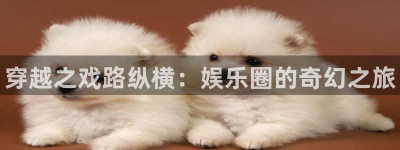 500彩票网登录：穿越之戏路纵横：娱乐圈的奇幻之旅