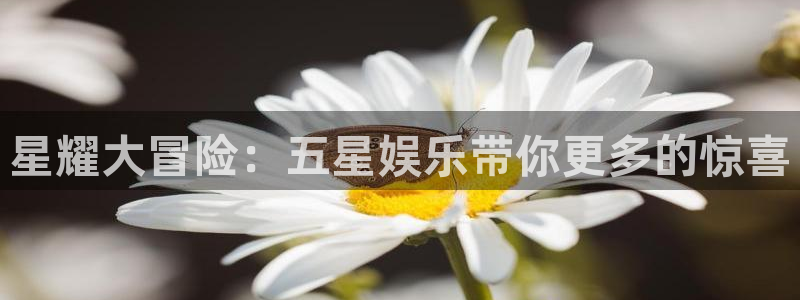 佛山市南海500彩票网机电仪器有限公司：星耀大冒险：五星娱乐带你更多的惊喜