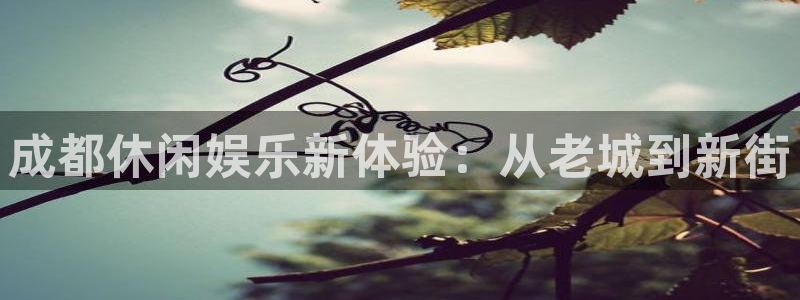 500彩票网3官网：成都休闲娱乐新体验：从老城到新街