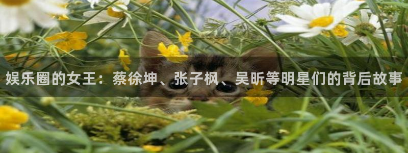 500彩票网4平台：娱乐圈的女王：蔡徐坤、张子枫、吴昕等明星们的背后故事
