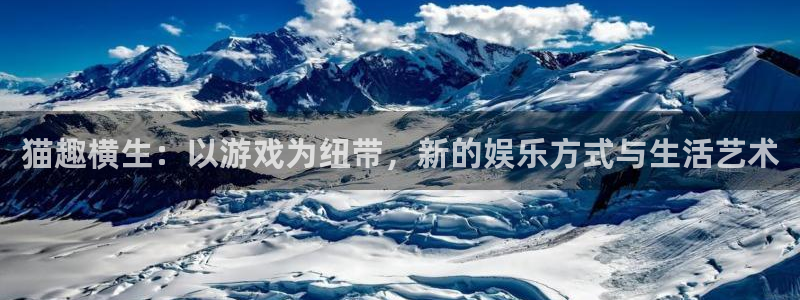 500彩票网kgame：猫趣横生：以游戏为纽带，新的娱乐方式与生活艺术