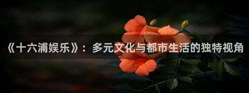 500彩票网登陆