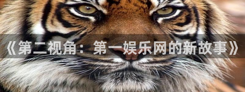 500彩票网凯捷平台注册链接：《第二视角：第一娱乐网的新故事》