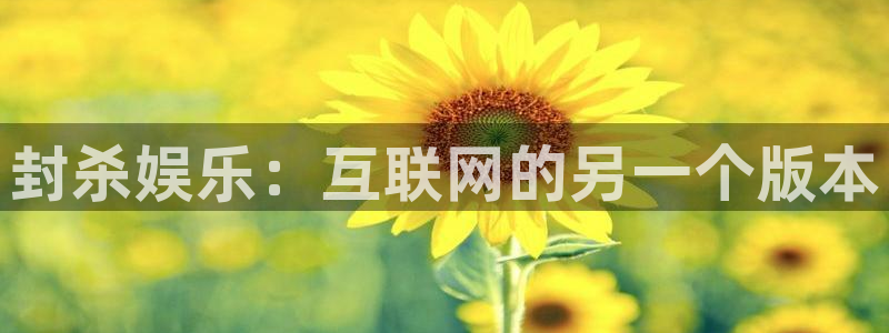 500彩票网4平台：封杀娱乐：互联网的另一个版本