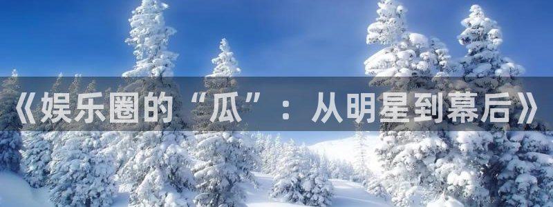 成都500彩票网电子有限公司：《娱乐圈的“瓜”：从明星到幕后》