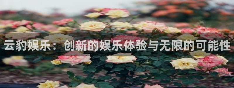 500彩票网体育注册平台：云豹娱乐：创新的娱乐体验与无限的可能性