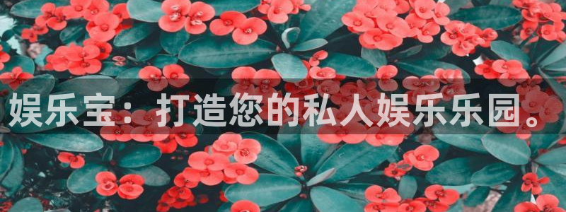 500彩票网体育老板是谁：娱乐宝：打造您的私人娱乐乐园。