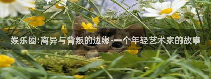 500彩票网：娱乐圈:离异与背叛的边缘-一个年轻艺术家的故事