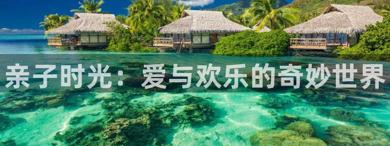 500彩票网代理：亲子时光：爱与欢乐的奇妙世界