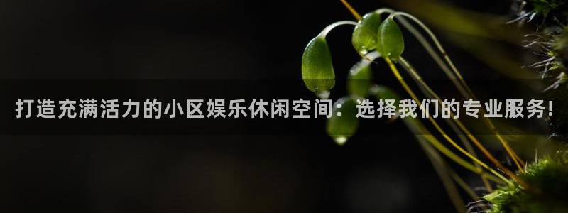 500彩票网体育凯捷登陆：打造充满活力的小区娱乐休闲空间：选择我们的专业服务!