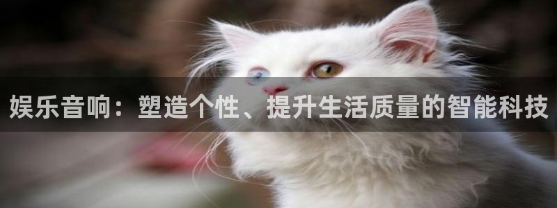 500彩票网体育用品：娱乐音响：塑造个性、提升生活质量的智能科技