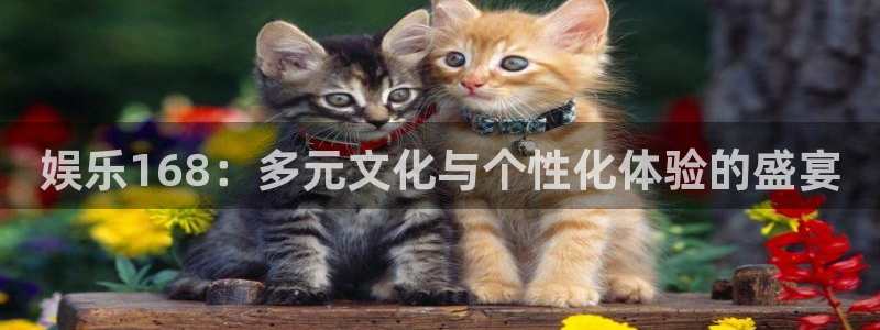 500彩票网体育4：娱乐168：多元文化与个性化体验的盛宴