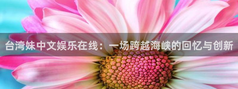 500彩票网3：台湾妹中文娱乐在线：一场跨越海峡的回忆与创新